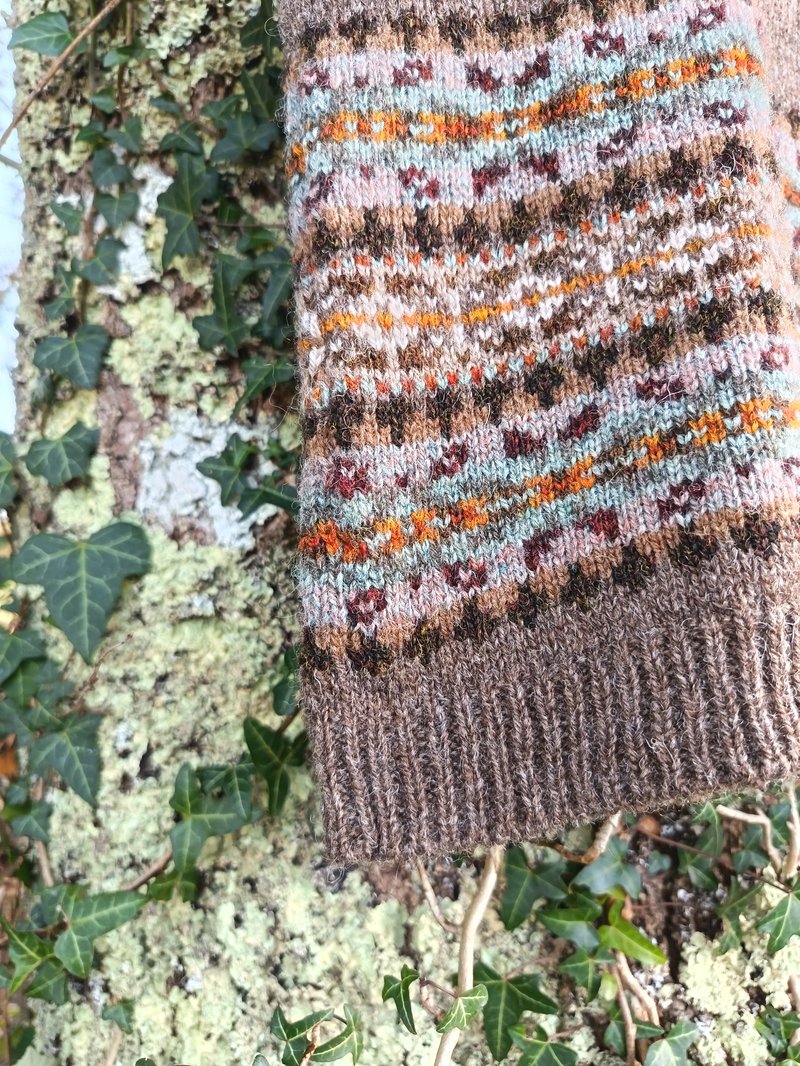 fair isle et lichens